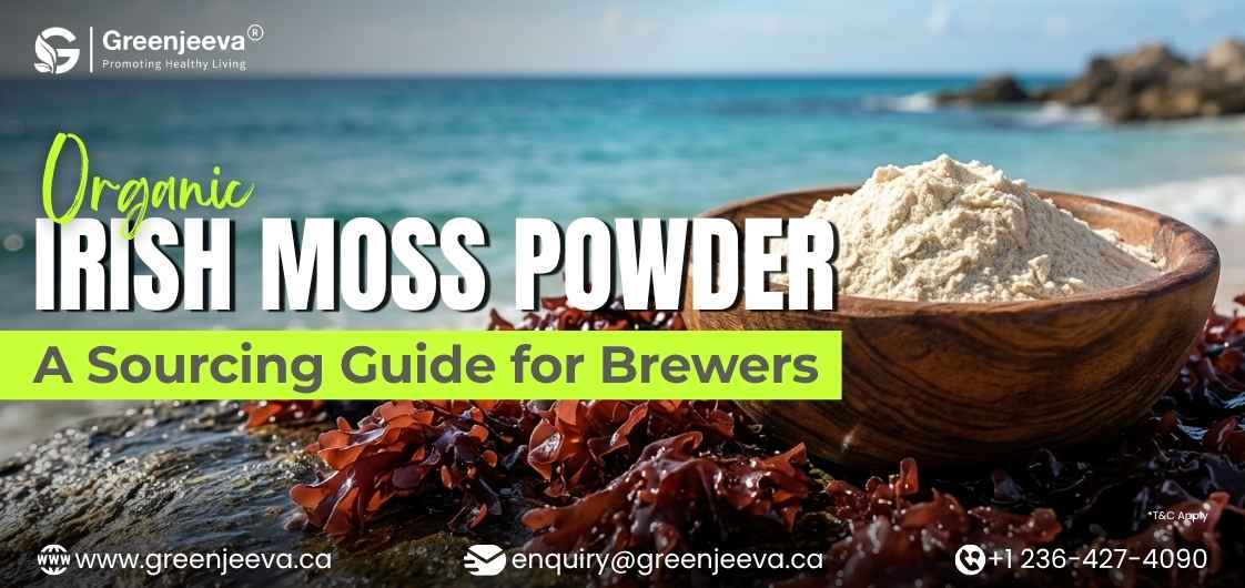 Organic Irish Moss Powder: A Sourcing Guide for Brewers